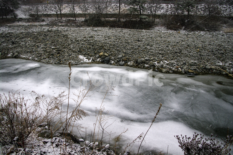 겨울,winter,강,얼음,나무,겨울,계절,winter,season