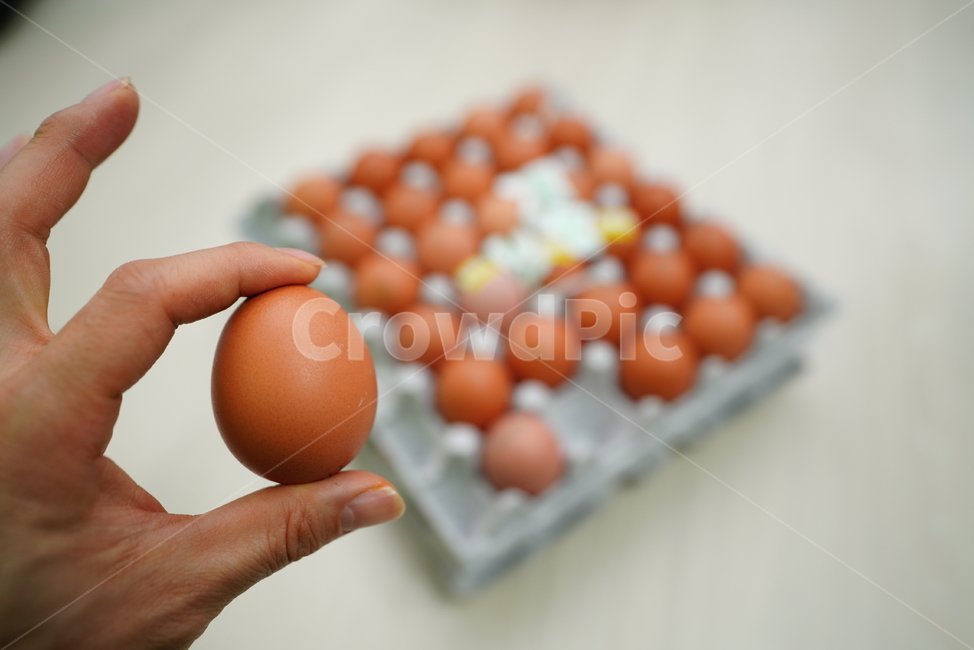 계란,달걀,egg,구운계란,먹방,먹거리,간식,영양식,단백질,알,푸드,음식,food,사람,인물,인간,human,person,신체일부,몸,body,음식,식재료,요리,food,cook,meal,dishes,food reserves