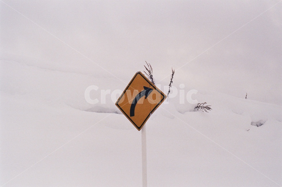 설경,표지판,우회,right,sign,japan,일본,biei,비에이,snowscene,눈,snow,film,필름사진