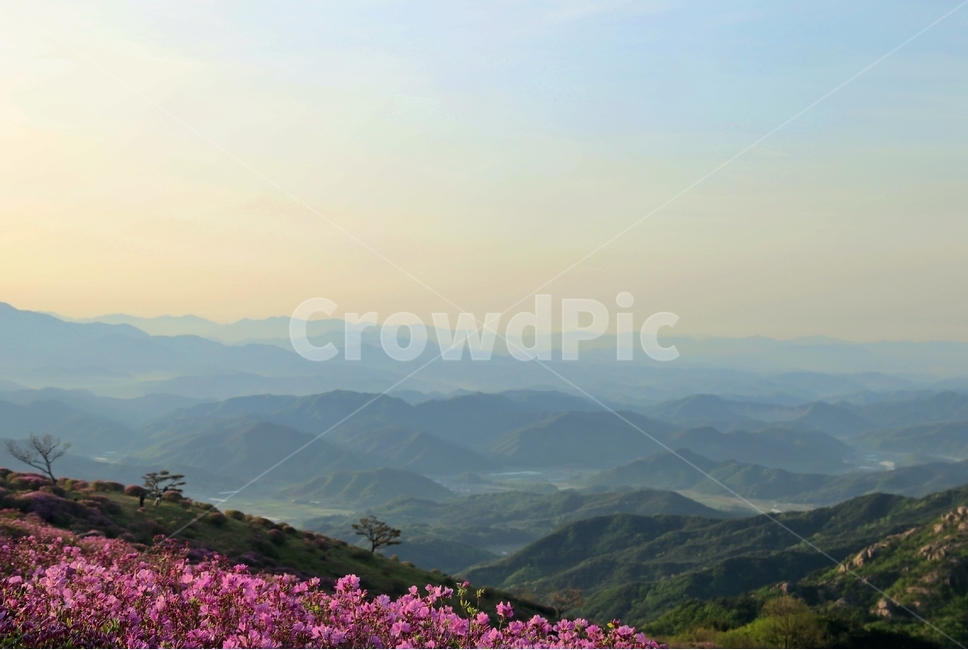 철쭉,황매산,여유,고요,구름,봄,계절,spring,season,자연,풍경,nature,landscape,한국자연풍경,한국자연경관,korea nature landscape,outdoors,옥외