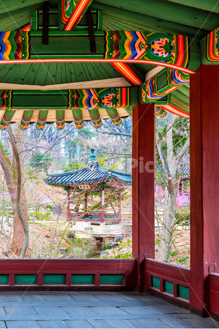 단청,문양,무늬,정자,관람정,문화유산,봄,계절,spring,season,한국전통,한국문화,korean traditional,korean culture,랜드마크,landmark,tourist attraction,한국랜드마크,한국관광지,한국명소,korea landmark,korea tourist attraction