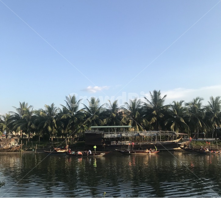 호이안,강,야자수,베트남,hoian