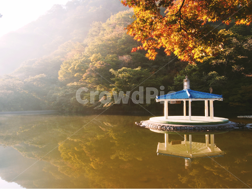 정자,내장산,단풍,햇빛,감성,풍경,연못,반영,sun,fall,leaf,단풍잎,햇살,landscape,가을,계절,fall,autumn,season,자연,풍경,nature,landscape,한국자연풍경,한국자연경관,korea nature landscape,한국전통,한국문화,korean traditional,korean culture,건축물,건물외관,exterior,building,structure,architecture,construction