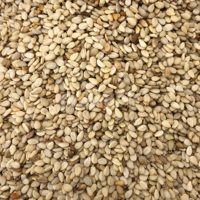 깨,참깨,sesame,곡물,cereals,음식,식재료,요리,food,cook,meal,dishes,food reserves,곡류,곡식,cereals