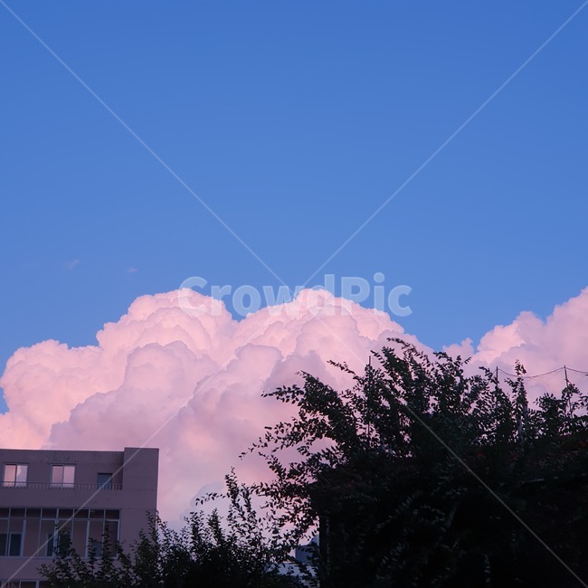weather,날씨,nature,자연,cloud,구름,outdoors,옥외,sky,하늘,cumulus,적운,핑크,pink,노을