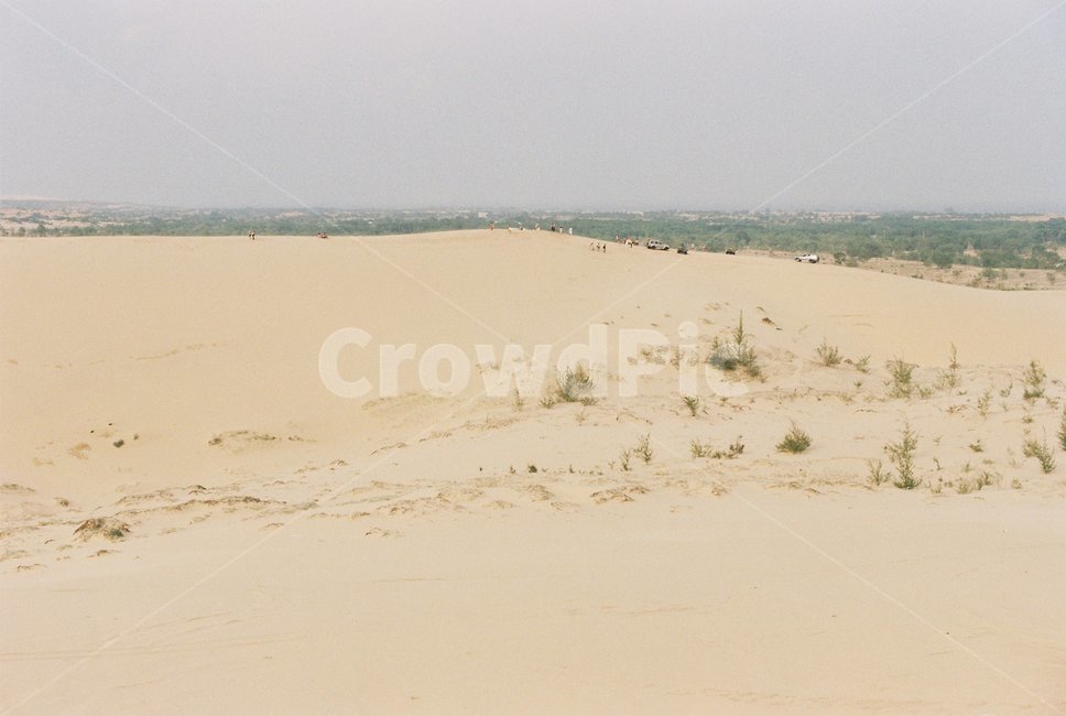 soil,흙,outdoors,옥외,sand,모래,nature,자연,dune,모래언덕,사막,desert,무이네,muine,베트남,vietnam,화이트샌듄,whitesand