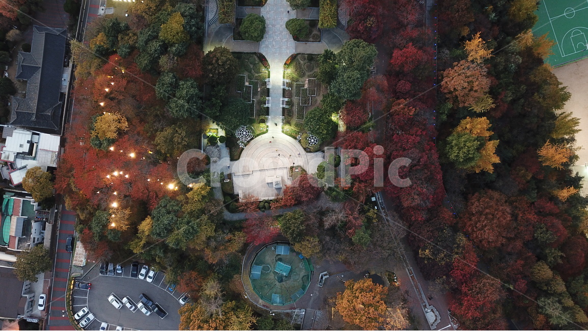 공원,가을,단풍,자유공원,인천,조명,가을,계절,fall,autumn,season