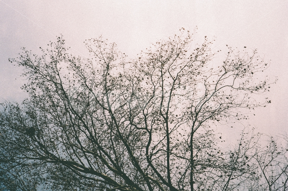 canon,6d,sigma,2470,50mm,35mm,film,sky,자연,풍경,nature,landscape,감성,sensible,feeling