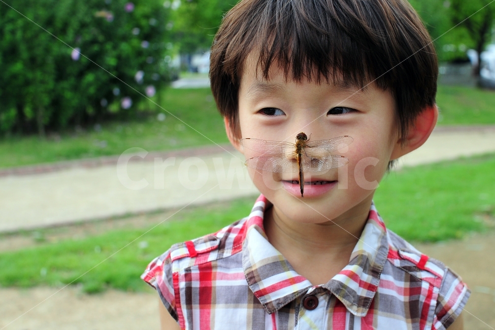 잠자리,곤충,자연보호,코,얼굴,풍경,자연,순간,동물,animal,곤충,벌레,insect,bug,사람,인물,인간,human,person,얼굴표정,facial expression,face,어린이,어린아이,child,children,kid,감정표현,기분,feeling,emotion