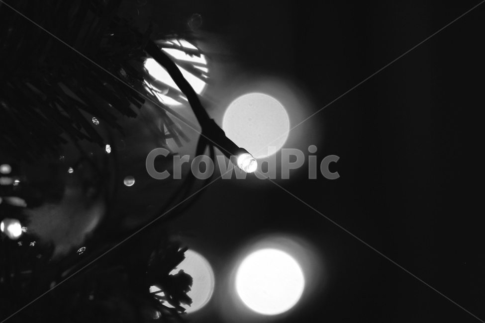 크리스마스,성탄절,잔잔한분위기,모노톤,전구,따뜻함,흑백사진,감성,여명,대조,고독함,외로움,야경,밤,풍경,nightscape,night,landscape,흑백,모노톤,monochrome,black and white,lighting,조명,nature,자연,outdoors,옥외