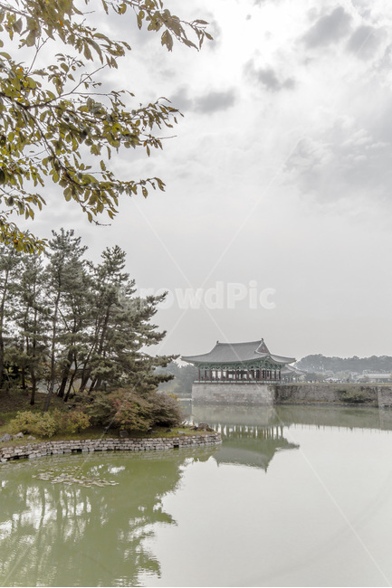 안압지,건축,한국의미,반영,풍경,한국전통,한국문화,korean traditional,korean culture,랜드마크,landmark,tourist attraction,한국랜드마크,한국관광지,한국명소,korea landmark,korea tourist attraction