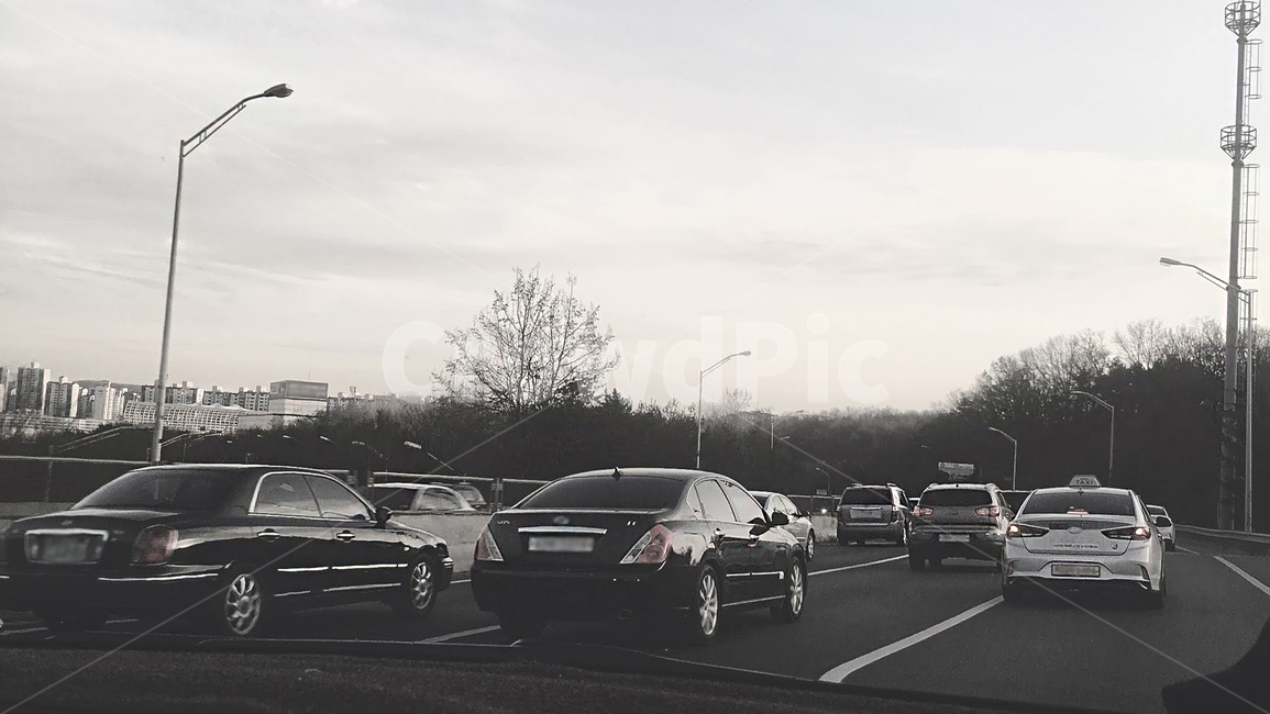 자동차,차량,도로,자동차도로,흑백,흑백,모노톤,monochrome,black and white,교통,교통수단,traffic,transportation