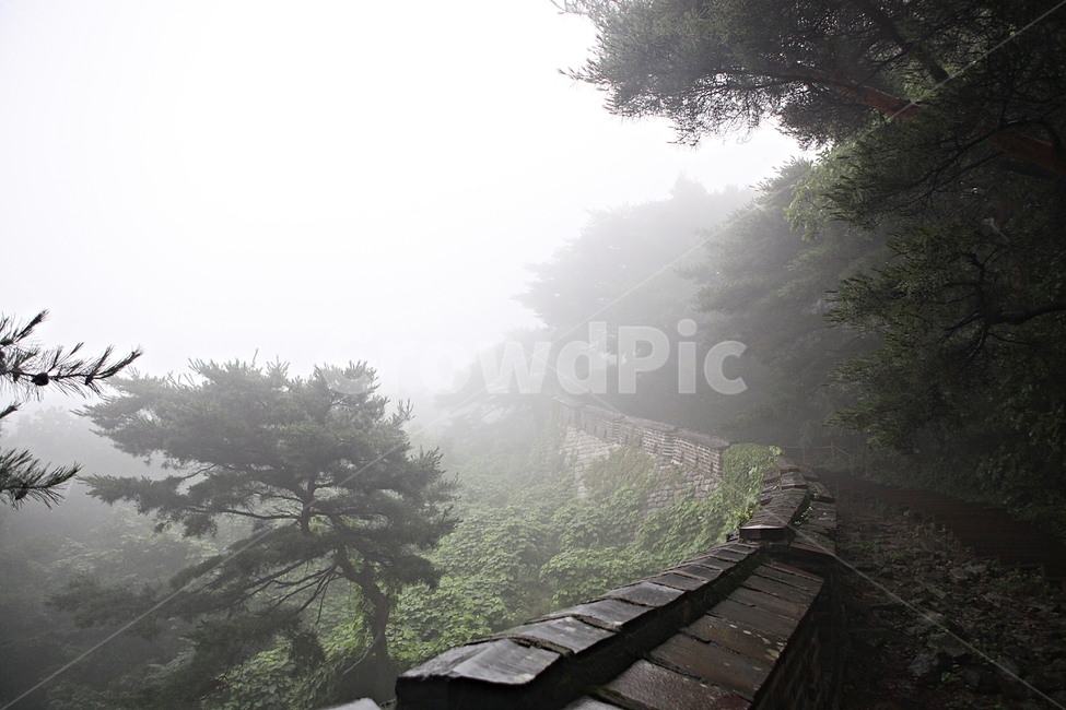 남한산성,성,성곽,둘레길길,숲,숲길,안개,돌담,담