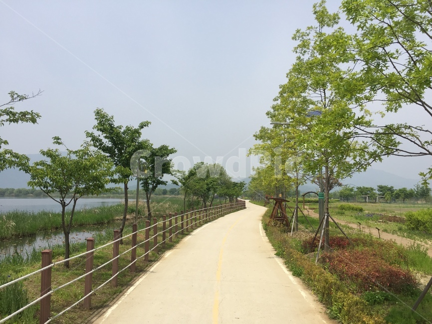 호숫가,풍경,하늘,길,산책