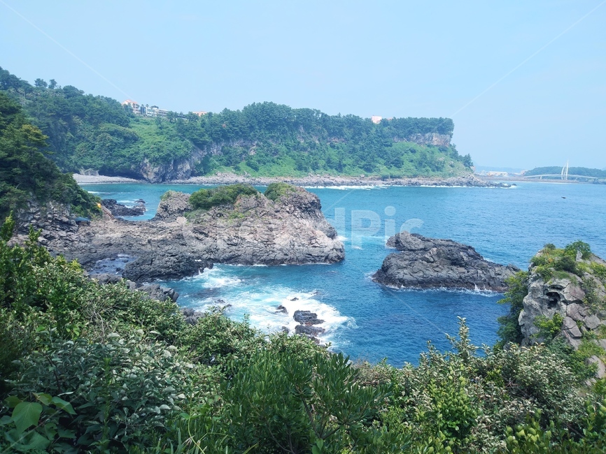 제주도,바다,하늘,돌,나무