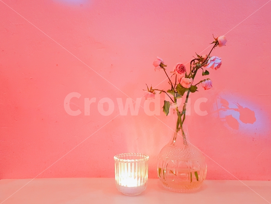 꽃,장미,분홍색,감성,핑크,촛불,조명,초,유리병,화병,말린장미,드라이플라워,장미꽃,색감,분위기,바,카페,펍,연남동,식물,자연,plants,nature,꽃,flower,색깔,색상,색채,색감,color sense,color sensitivity,feeling of color,인테리어,실내디자인,interior design