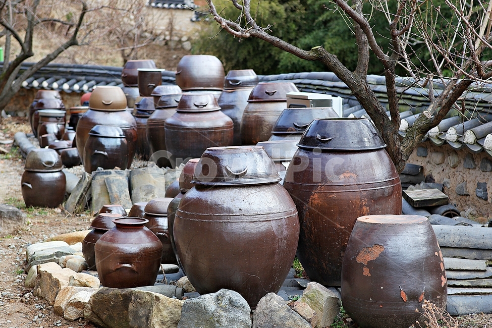 항아리,단지,옹기,토기,민속품,공예품,자연,풍경,한국전통,한국문화,korean traditional,korean culture