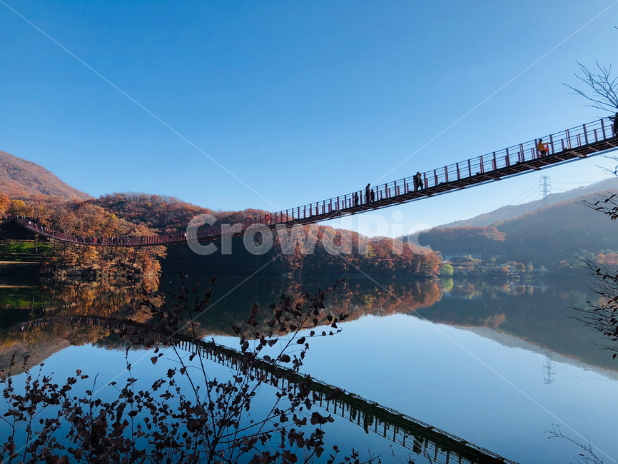 마장호수,파주,다리,출렁다리,호수,풍경,자연,풍경,nature,landscape,outdoors,옥외,경치,scenery