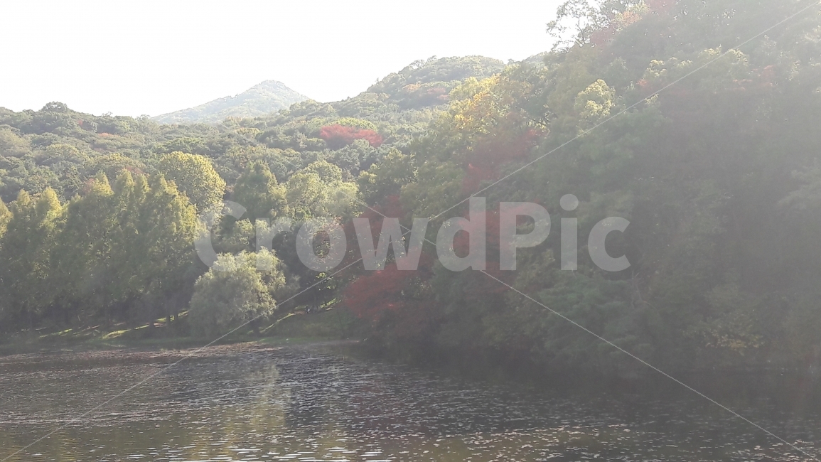 호수,단풍,가을,대공원,나무,가을,계절,fall,autumn,season,자연,풍경,nature,landscape,한국자연풍경,한국자연경관,korea nature landscape,water,물,outdoors,옥외