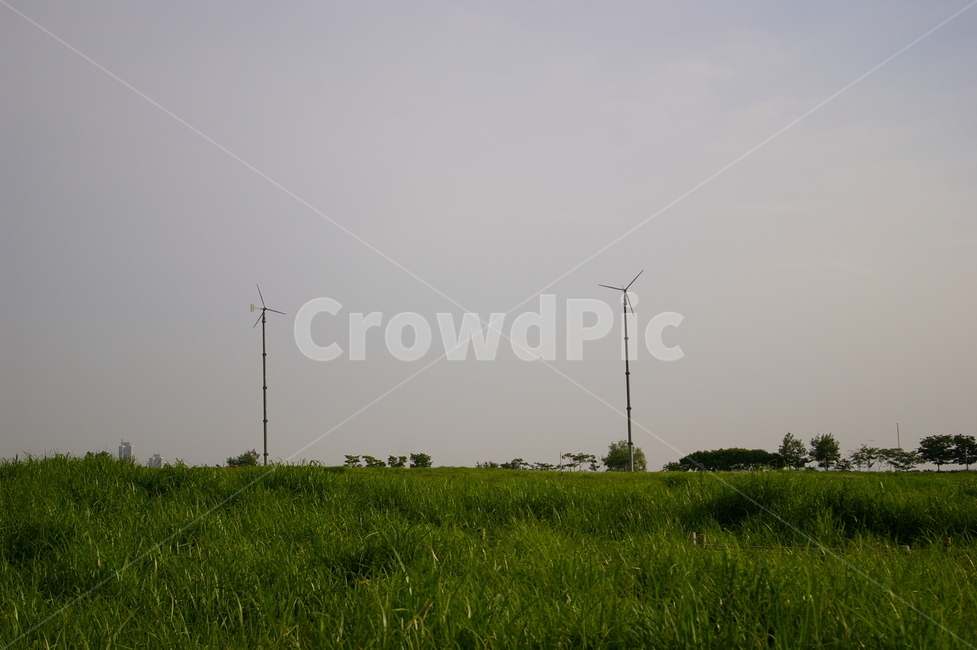 하늘공원,풍경,서울,field,들,outdoors,옥외,nature,자연,자연,풍경,nature,landscape