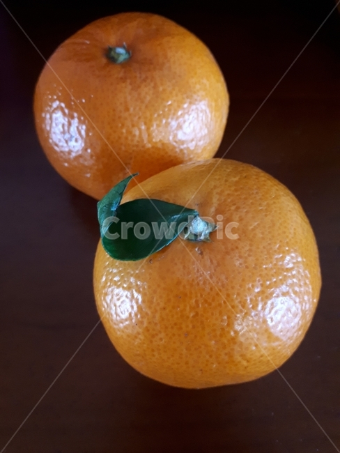 귤,과일,tangerine,fruit,밀감,음식,식재료,요리,food,cook,meal,dishes,food reserves,과일,열매,fruit