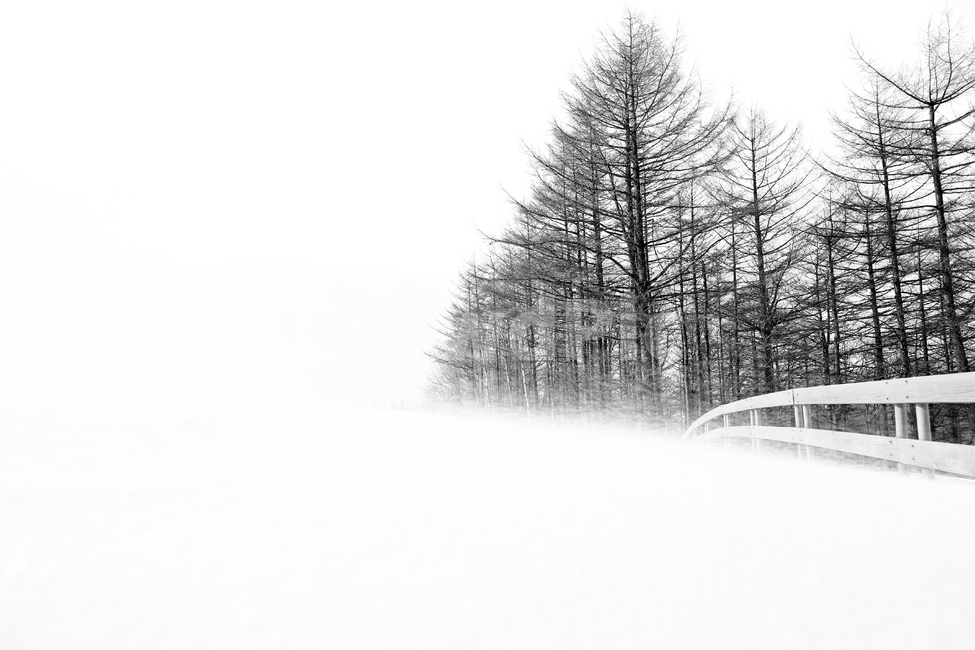 눈보라,눈,설경,언덕,겨울,겨울,계절,winter,season,자연,풍경,nature,landscape,outdoors,옥외,storm,폭풍,snow,blizzard