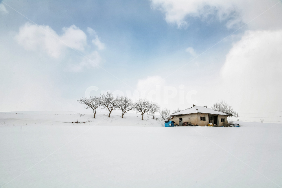 설경,설원,겨울,눈,스노우,화이트,겨울풍경,계절,겨울,계절,winter,season,자연,풍경,nature,landscape