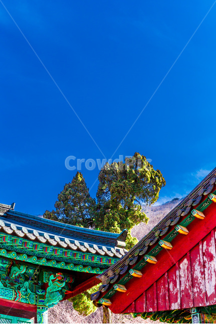 단청,선,문화유산,문양,향나무,한국전통,한국문화,korean traditional,korean culture,건축물,건물외관,exterior,building,structure,architecture,construction