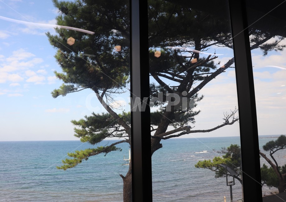 바다,sea,ocean,자연,nature,나무,tree,조명,창가,window