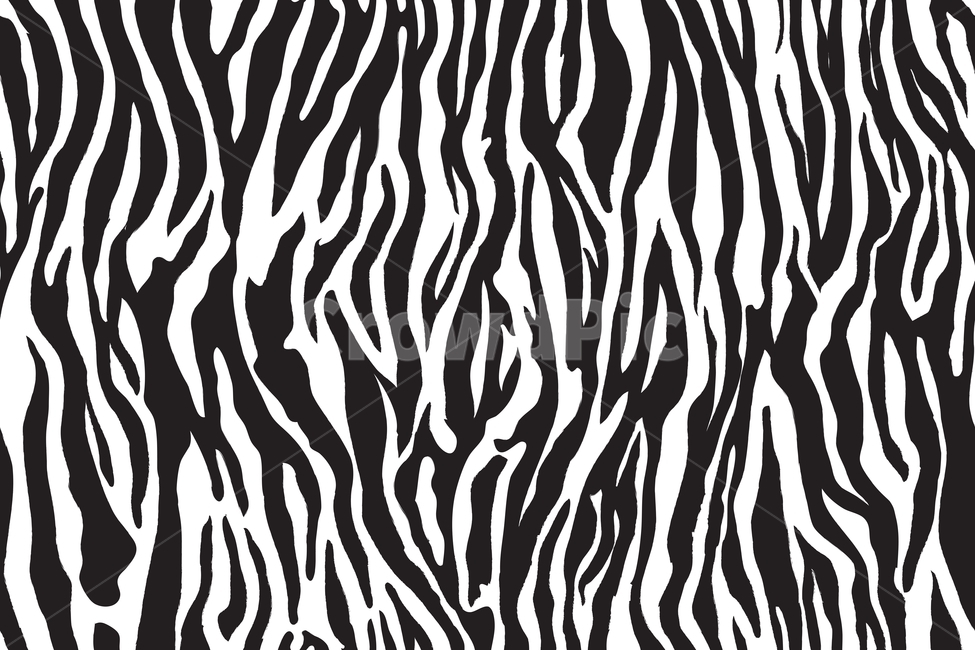 동물무늬,패턴,검은,animal,print,skin,얼룩말,무늬,지브라,zebra,wave,물결,사파리,safari,퍼,fur,black,line,텍스처,질감,패턴,texture,pattern