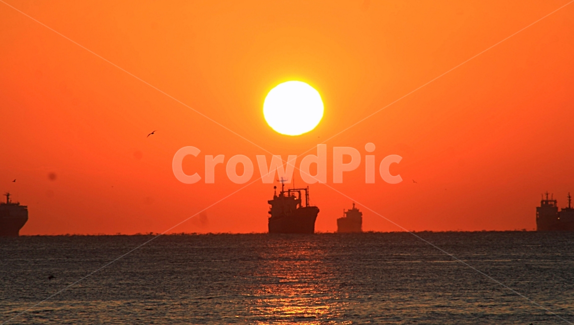 일출,해,새해,풍경,바다,자연,풍경,nature,landscape,교통,교통수단,traffic,transportation,vehicle,차량,boat,보트,animal,동물,bird,새,ship,배