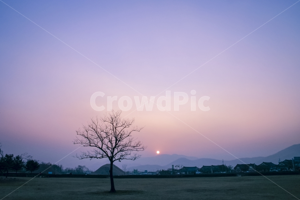 왕릉,나무,저녁노을,해,노을빛,하늘,석양,신비로움,theRoyaltomb,자연,풍경,nature,landscape,한국자연풍경,한국자연경관,korea nature landscape,한국전통,한국문화,korean traditional,korean culture,랜드마크,landmark,tourist attraction,한국랜드마크,한국관광지,한국명소,korea landmark,korea tourist attraction,색깔,색상,색채,색감,color sense,color sensitivity,feeling of color,tree,plant,식물,silhouette,실루엣
