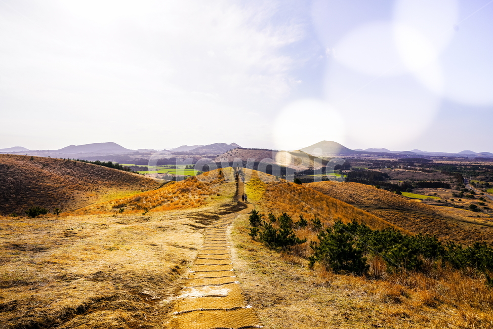 제주도,오름,백약이오름,용눈이오름,오름풍경,제주도오름,자연,풍경,nature,landscape,한국자연풍경,한국자연경관,korea nature landscape,제주도,jeju,jeju island,road,도로,dirt road,흙길,gravel,자갈,outdoors,옥외