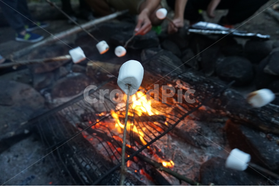 캠핑,스모어,마시멜로우,마시멜로,캠프파이어,여행,휴가,traveling,vacation,trip