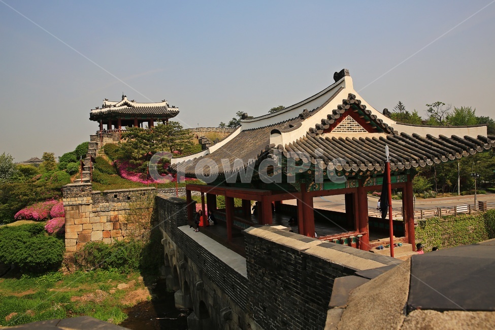 경기,수원,수원화성,화성행궁,building,건물,architecture,건축물,outdoors,옥외,nature,자연,철쭉꽃,봄,계절,철쭉