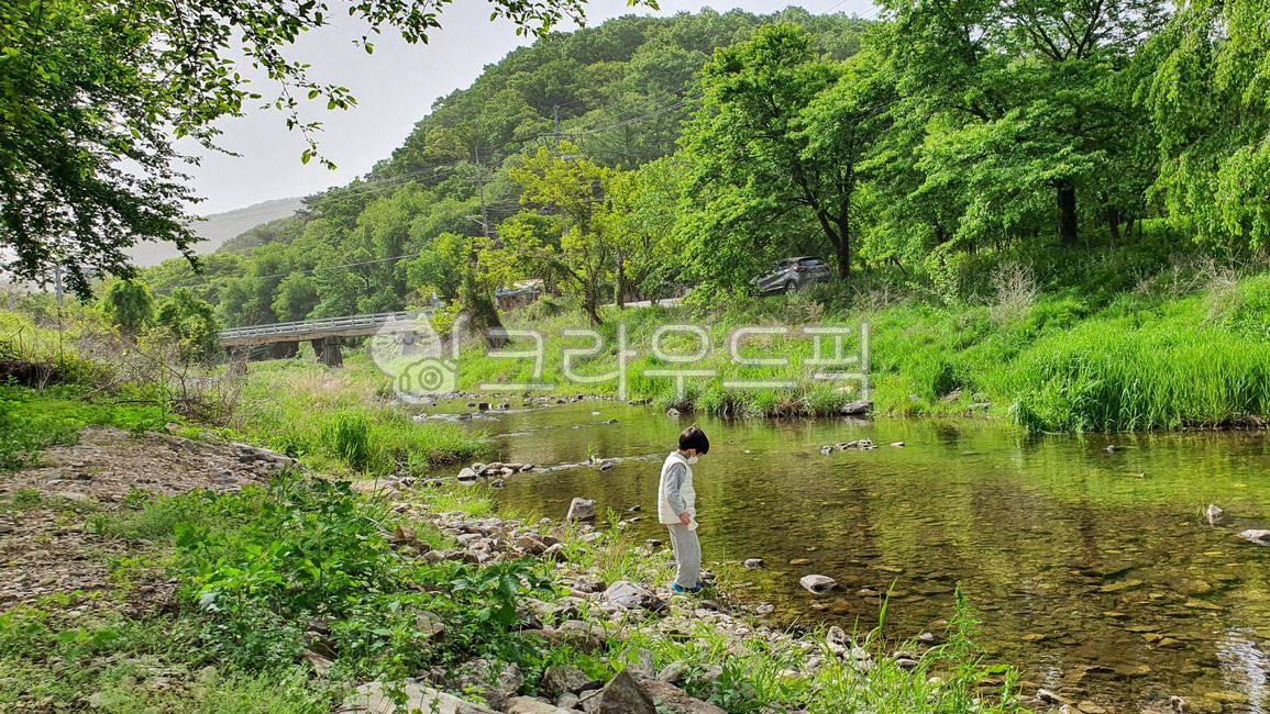 냇물, 나무, 초록, water, outdoors, 사진,이미지,일러스트,캘리그라피 - 망고몽고작가