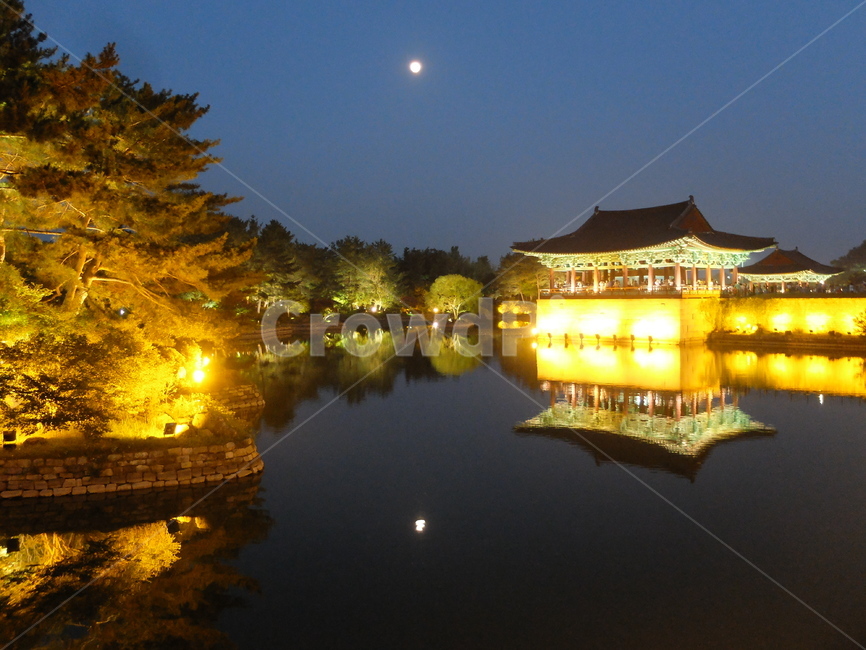 경주,동궁,월지,야경,안압지,야경,밤,풍경,nightscape,night,landscape,한국전통,한국문화,korean traditional,korean culture,랜드마크,landmark,tourist attraction,한국랜드마크,한국관광지,한국명소,korea landmark,korea tourist attraction,건축물,건물외관,exterior,building,structure,architecture,construction,건물,castle,성