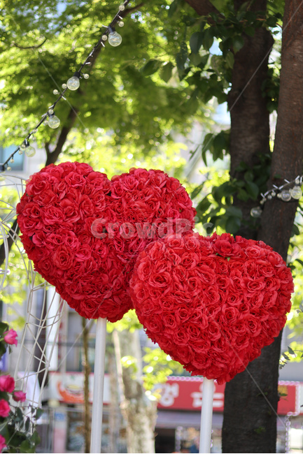 장미,5월,꽃,봄,하트,식물,자연,plants,nature,꽃,flower,조각상,동상,석상,조형물,statue,bronze statue,stone statue,연인,커플,사랑,lover,couple