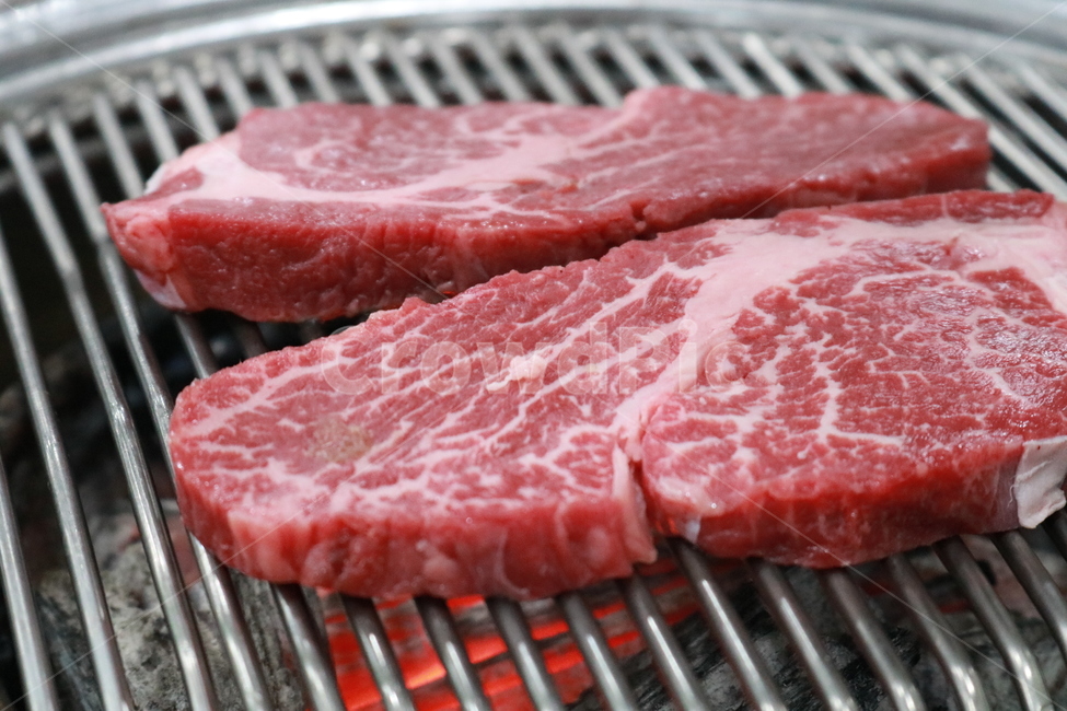 한우,대관령,숯불구이,신선,소고기,음식,식재료,요리,food,cook,meal,dishes,food reserves,육류,고기,meat