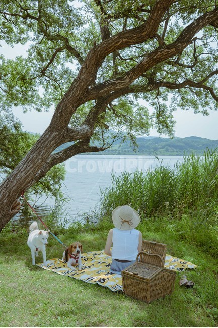 봄,봄소풍,모자,봄패션,비글,시바견,애견,강아지,피크닉가방,산책,휴식,봄,계절,spring,season,동물,animal,포유류,mammal,개,강아지,dog,doggy,사람,인물,인간,human,person,여성,여자,woman,female,lady,여행,휴가,traveling,vacation,trip,휴식,힐링,rest,relaxation,healing,meal,식사,food,음식,tree,나무,plant,식물