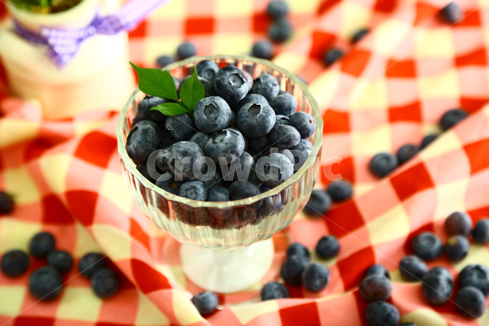 블루베리,베리,과일,blueberry,berry,fruit,food,sweet,fresh,음식,식재료,요리,food,cook,meal,dishes,food reserves,과일,열매,fruit