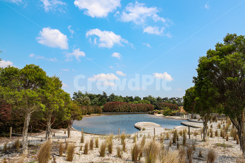 nature,자연,plant,식물,나무,outdoors,나라,물