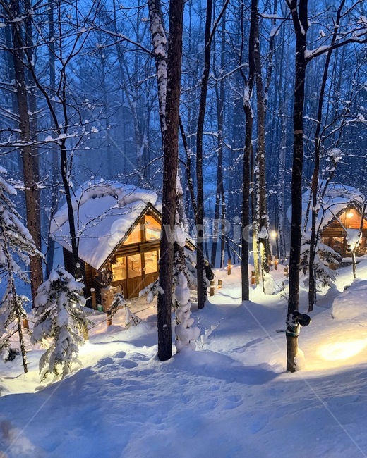 겨울,삿포로,닝구르테라스,비에이,홋카이도,겨울,계절,winter,season,자연,풍경,nature,landscape,해외,외국,세계,foreign,oversea,world,세계자연풍경,해외자연풍경,외국자연풍경,world nature landscape,housing,주택,building,건물,outdoors,옥외