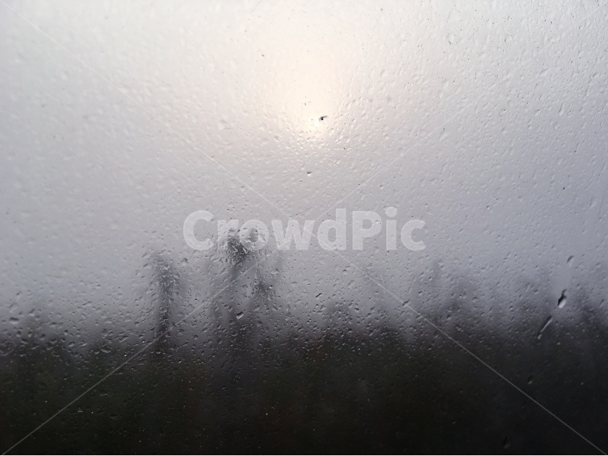 짙은안개,아침풍경,안개,아침,자연,풍경,감성,느낌,가을,비,비오는날,rain,rainy