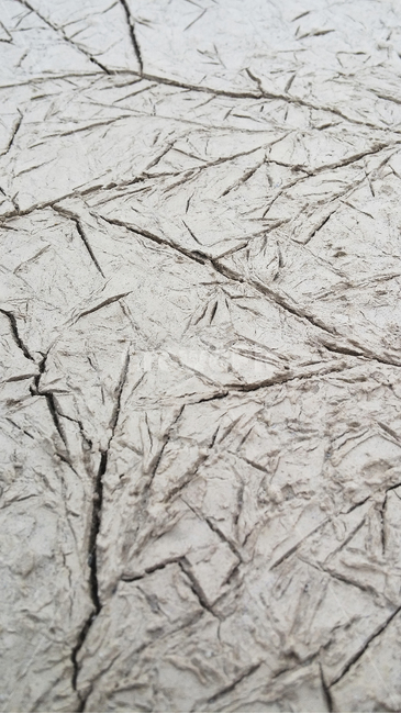 가뭄,땅,갈라짐,표면,매마른,drought,흙,surface,자연,현상,natural,nature,근접,접사,closeup,ourdoor,dry,텍스처,질감,패턴,texture,pattern