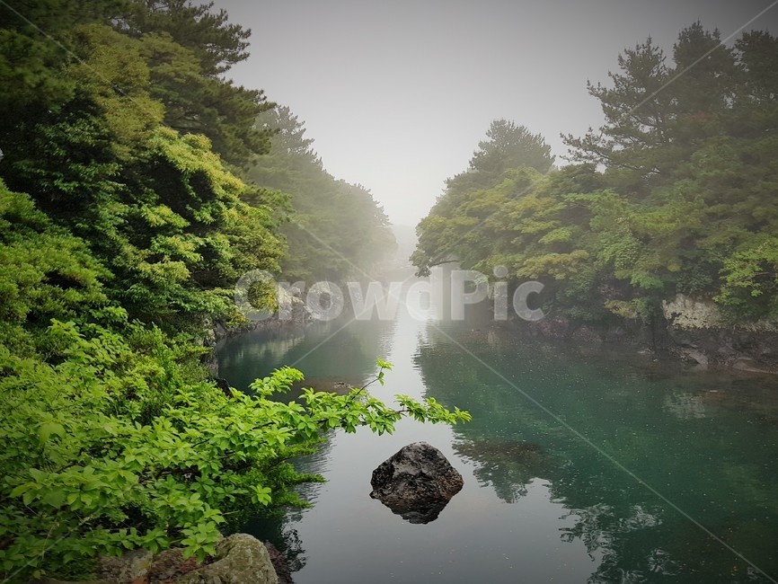 안개,쇠소깍,흐린날,새벽안개,제주도,fog,자연,풍경,nature,landscape,한국자연풍경,한국자연경관,korea nature landscape,제주도,jeju,jeju island,outdoors,옥외