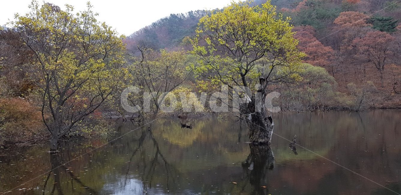 nature,자연,가을,단풍,호수,물,나무,tree,가을,계절,fall,autumn,season,자연,풍경,nature,landscape,land,땅,outdoors,옥외,water