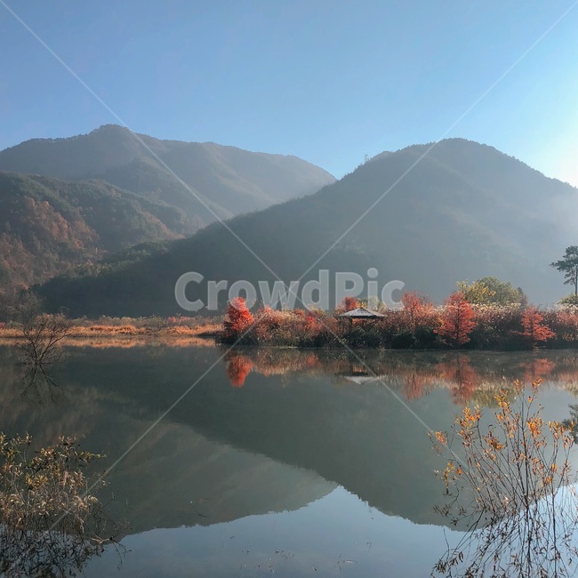 nature,자연,물,scenery,water,반영,풍경,감성사진,핸드폰사진