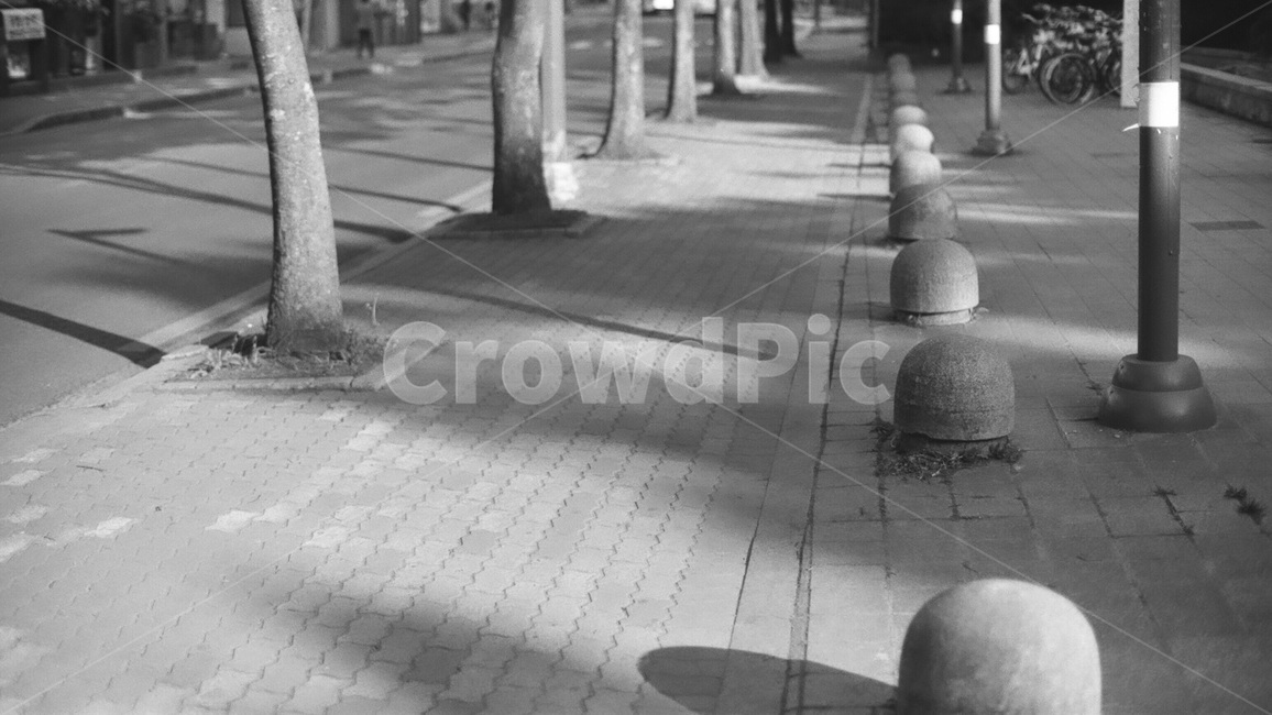 길거리,흑백사진,필름,통로,path,street