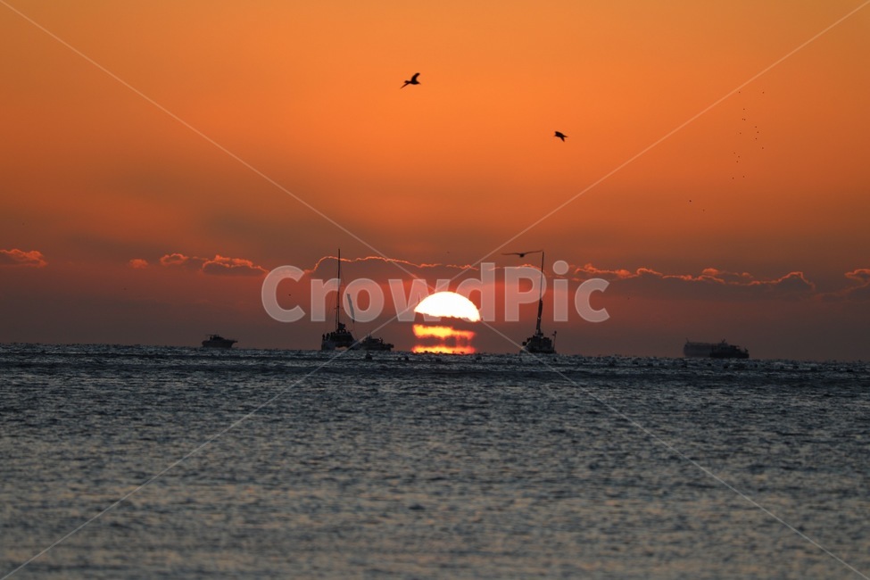 new year sunrise,January 1st,south sea,winter,sun,omega,superb view,ocean,Nonassignment,Sunrise,secret place